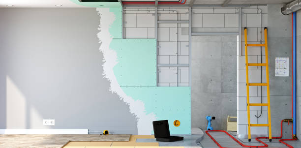 Best Post-Construction Mold Inspection  in Camden, AR