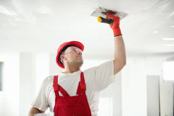 Best Asbestos and Lead Testing During Mold Inspection  in Camden, AR