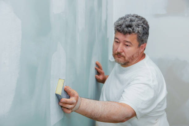 Best Black Mold Removal  in Camden, AR